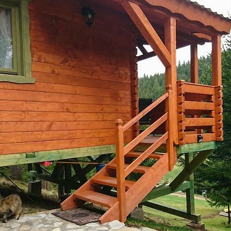 Cabana Casa Craita Zărneşti Εξωτερικό φωτογραφία