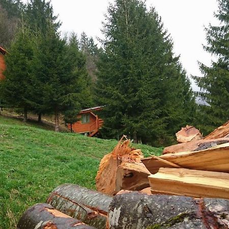 Cabana Casa Craita Zărneşti Εξωτερικό φωτογραφία