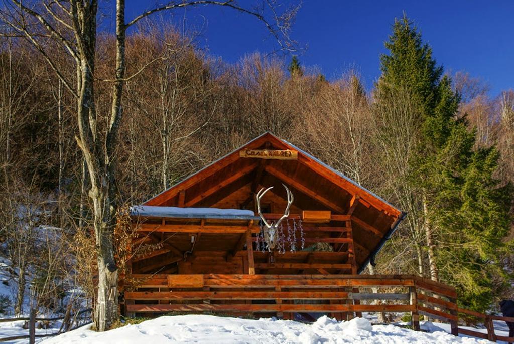 Cabana Casa Craita Zărneşti Δωμάτιο φωτογραφία