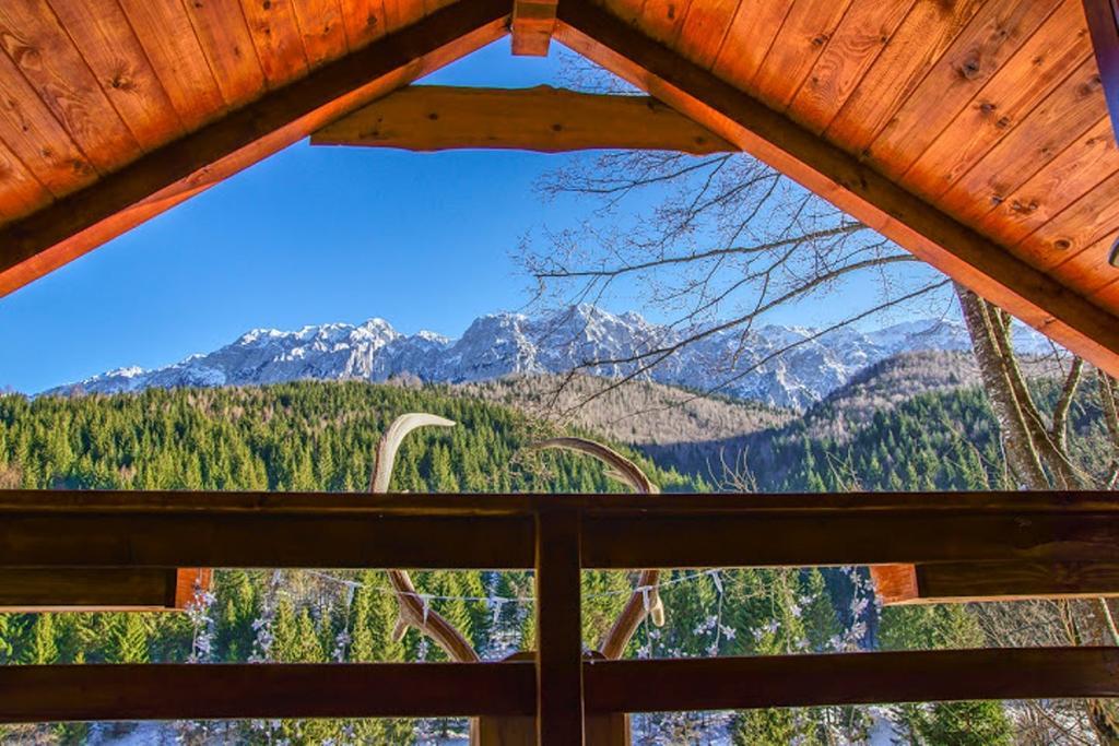 Cabana Casa Craita Zărneşti Δωμάτιο φωτογραφία