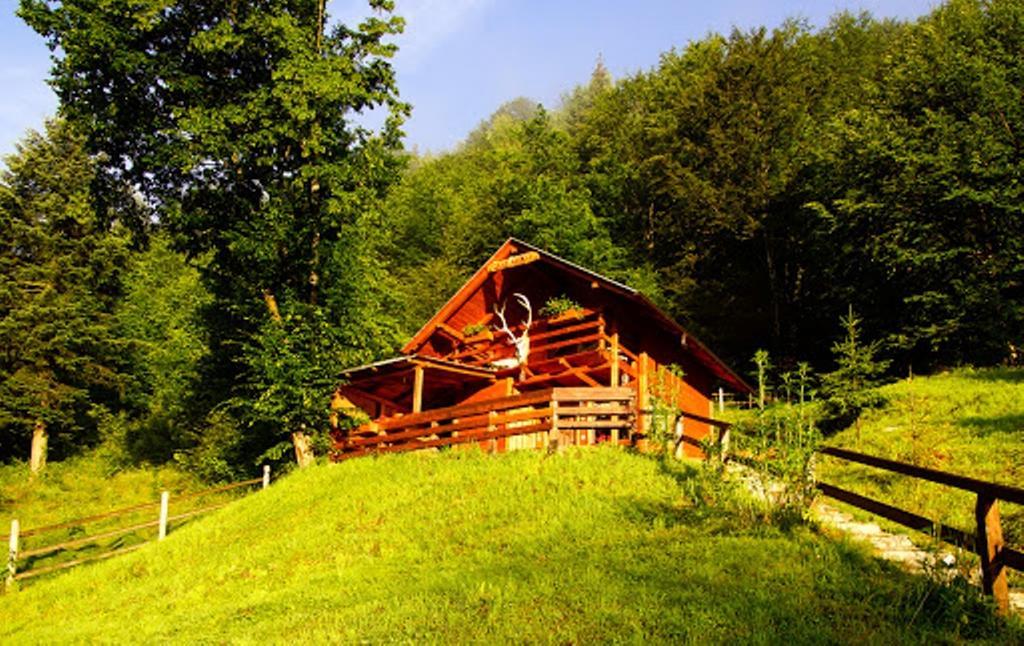 Cabana Casa Craita Zărneşti Δωμάτιο φωτογραφία