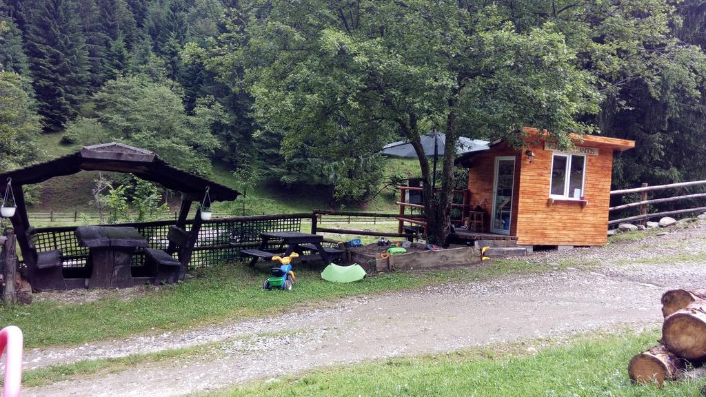 Cabana Casa Craita Zărneşti Εξωτερικό φωτογραφία