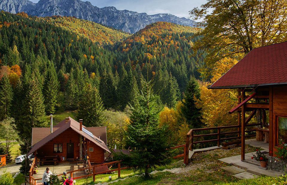 Cabana Casa Craita Zărneşti Εξωτερικό φωτογραφία