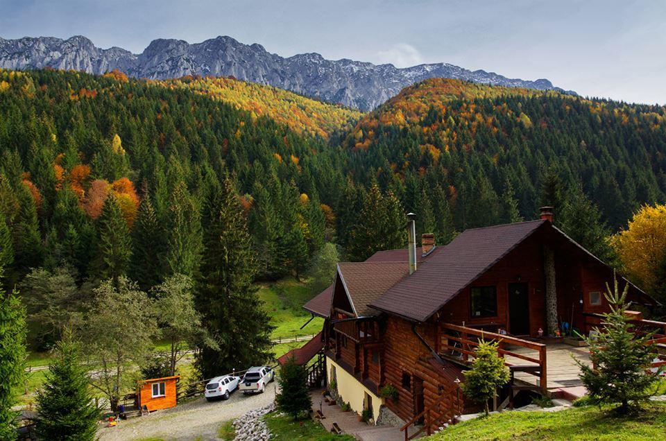 Cabana Casa Craita Zărneşti Εξωτερικό φωτογραφία
