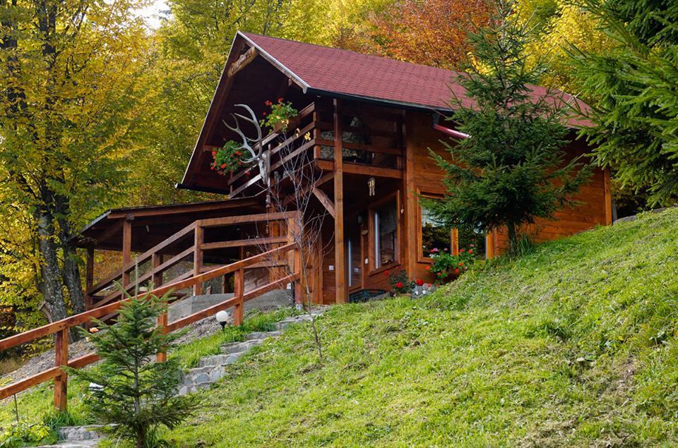 Cabana Casa Craita Zărneşti Εξωτερικό φωτογραφία