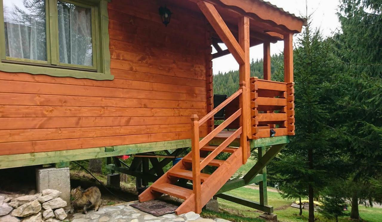 Cabana Casa Craita Zărneşti Εξωτερικό φωτογραφία