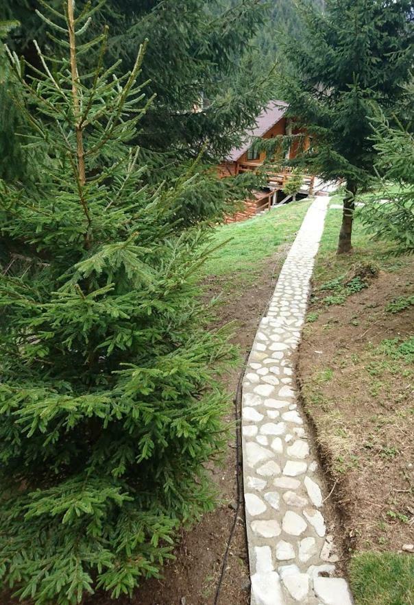 Cabana Casa Craita Zărneşti Εξωτερικό φωτογραφία