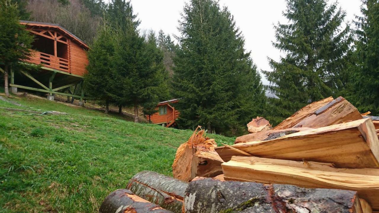 Cabana Casa Craita Zărneşti Εξωτερικό φωτογραφία