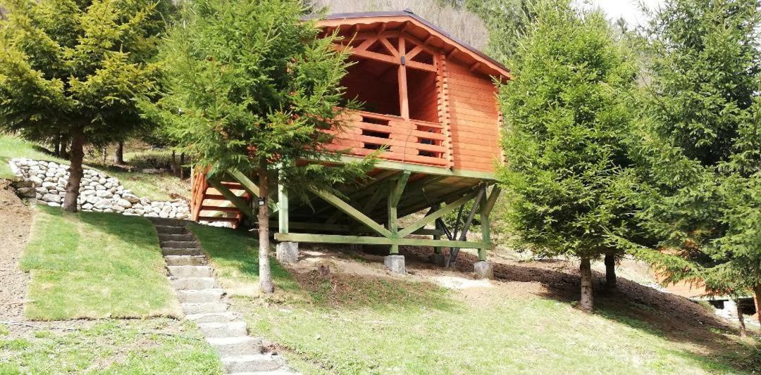 Cabana Casa Craita Zărneşti Εξωτερικό φωτογραφία
